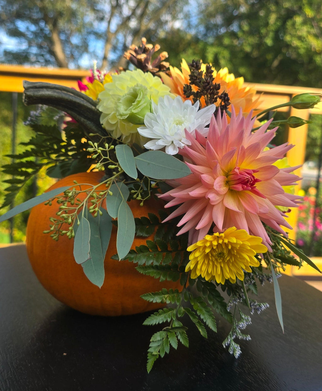 Autumn Twirl