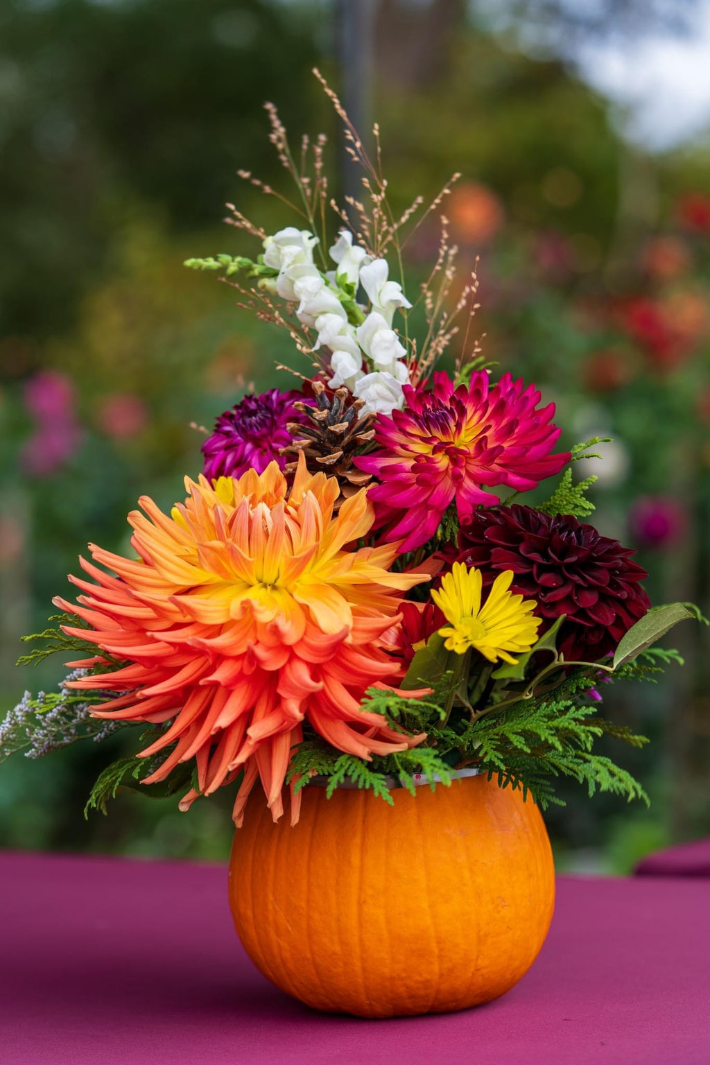 Pumpkin Blossoms
