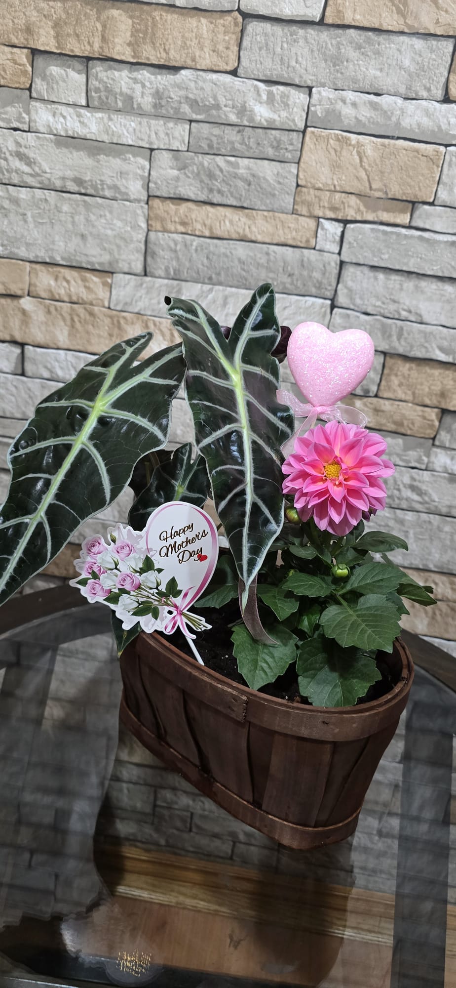 Root of Love